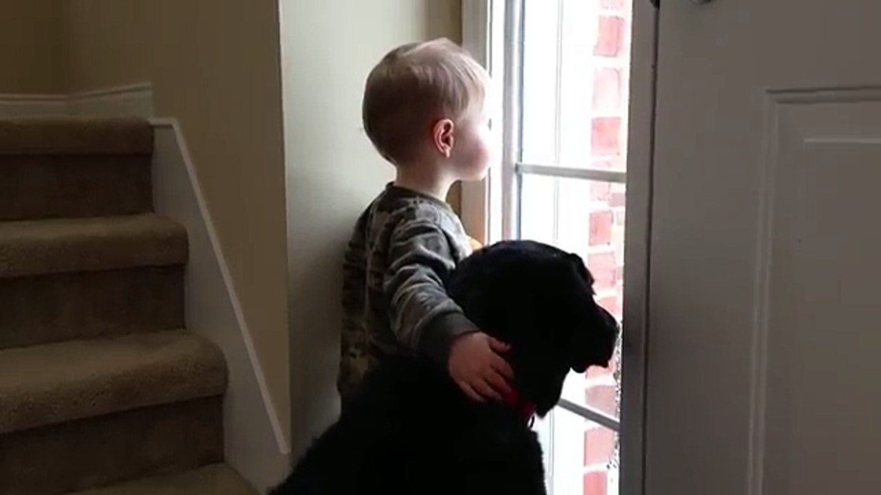 Al Cane Manca La Sua Famiglia, Il Modo In Cui Il Bambino Lo Consola è Tenerissimo...