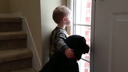 Al Cane Manca La Sua Famiglia, Il Modo In Cui Il Bambino Lo Consola è Tenerissimo...