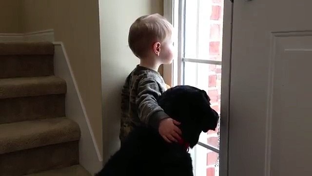 Al Cane Manca La Sua Famiglia, Il Modo In Cui Il Bambino Lo Consola è Tenerissimo...