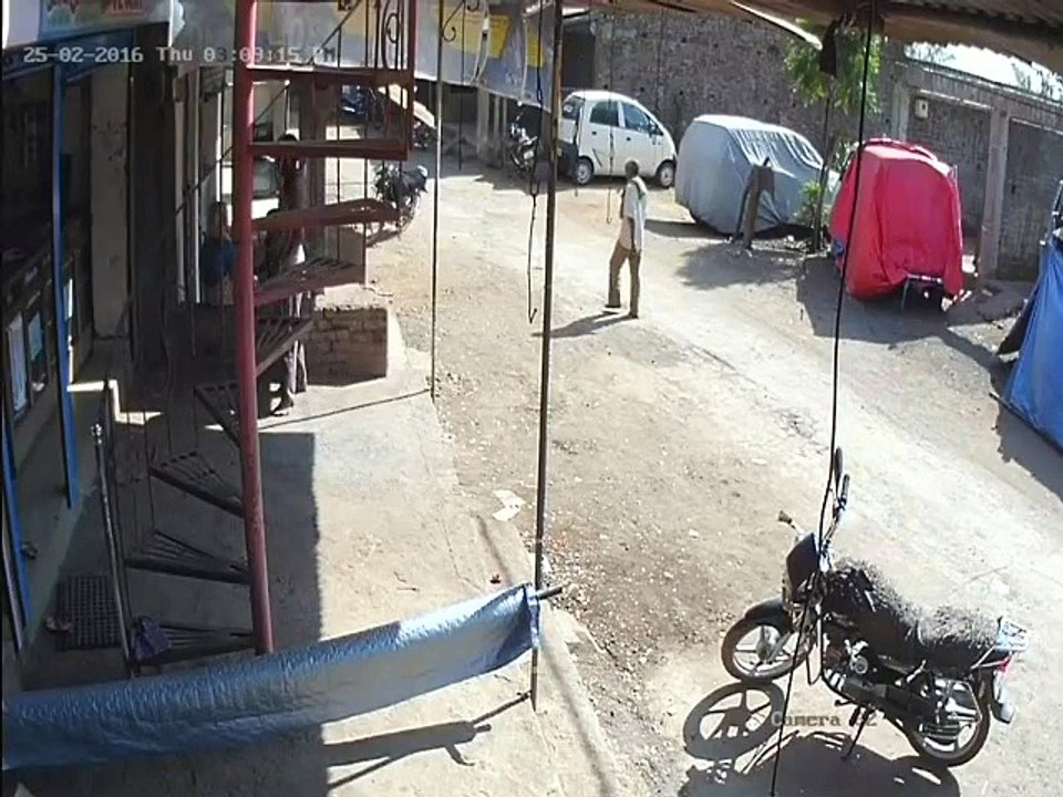 hahaha monkey shot never seen before