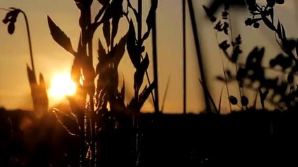 Very Emotional bayan About Parents