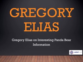 Gregory Elias on Interesting Panda Bear Information