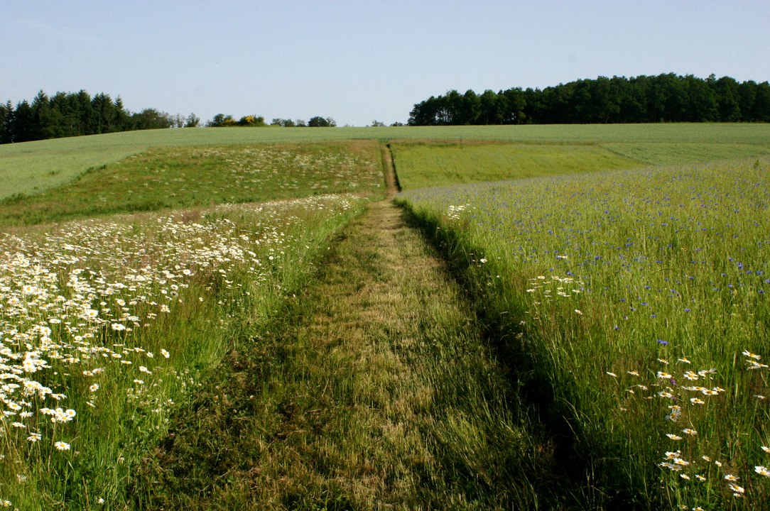 Ségolène Royal remet le Grand Prix National du Paysage 2016