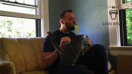 Le LICKI BRUSH: une nouvelle conception qui permet de brosser son chat