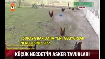 ATV'deki Tavuk Videosu Alay Konusu Oldu