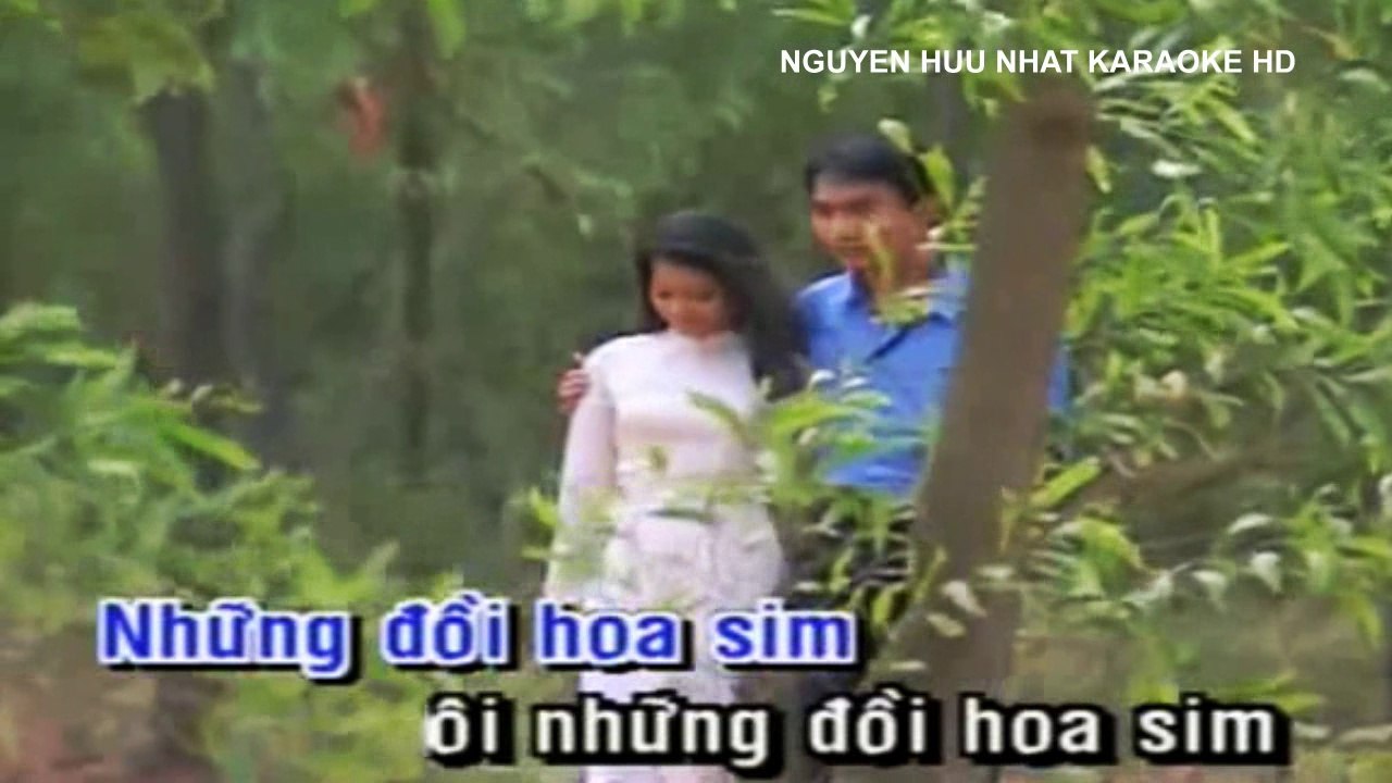 Karaoke Những Đồi Hoa Sim Trường Vũ Beat Chuẩn