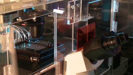 La filière STL dans l'académie de Lyon