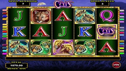 Cats ilmainen kasino kolikkopeli IGT Video Esikatselu
