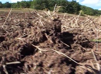 Davanje u zakup državnog zemljišta od oktobra, 19. maj 2016. (RTV Bor)