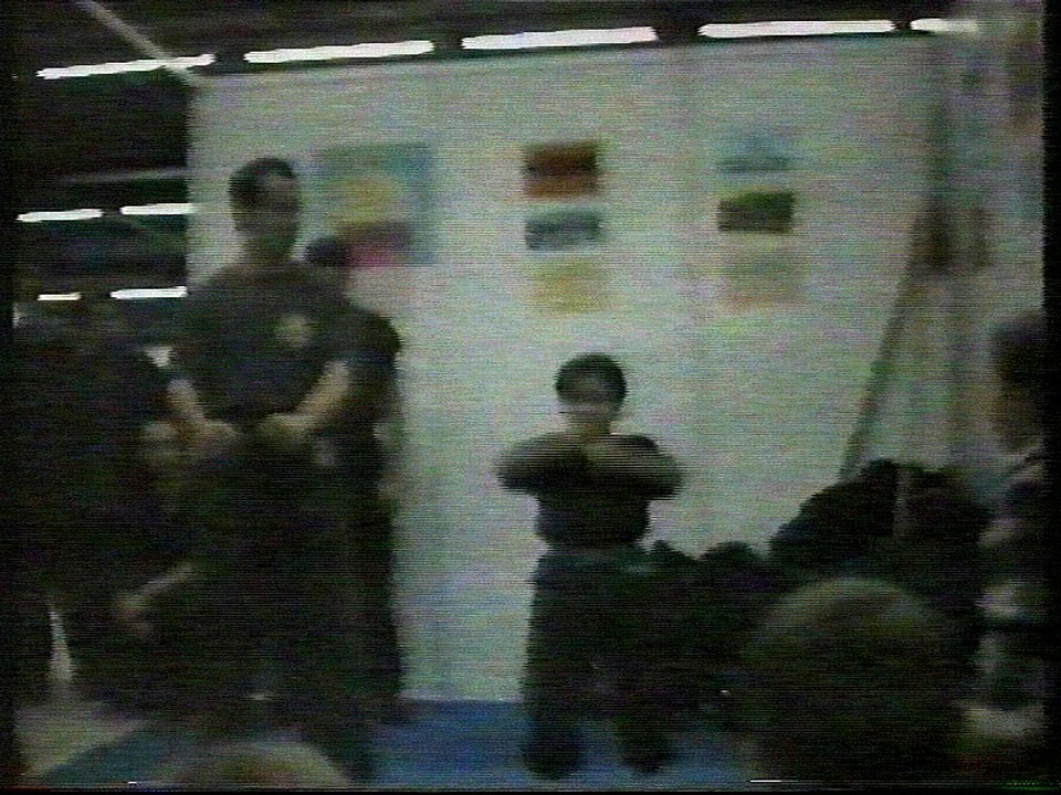 Démonstration de kungfu taichi au Salon des Artss martiaux Paris. Partie 2.1