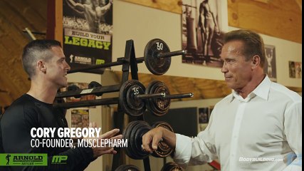 Best Bodybuilder of All Time - Arnold Schwarzenegger's Blueprint Training Program - MR.GYM (DAILYMOTION)