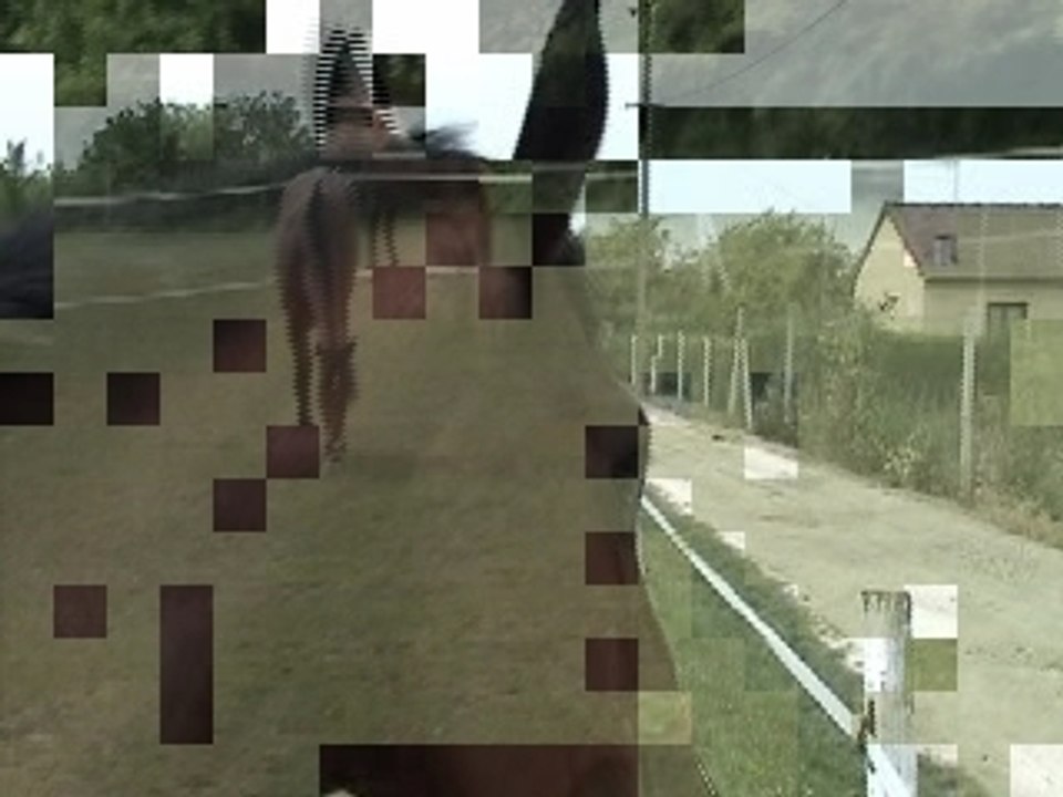 Arôme de la Coste au vert