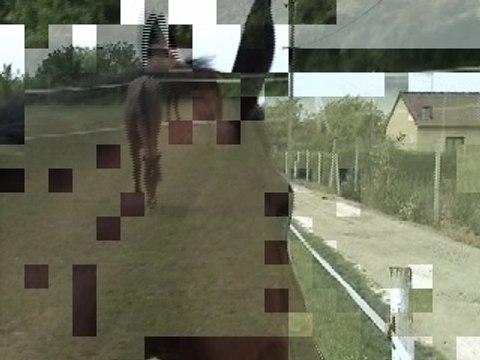 Arôme de la Coste au vert