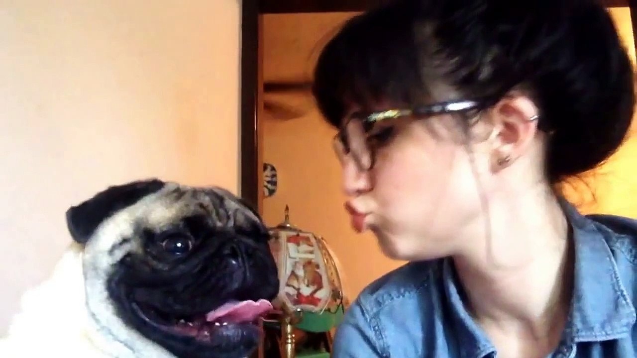 Un chien refuse les bisous de sa maîtresse car elle pue de la bouche