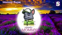 Peppa Pig Paw Patrol Finger Family Nursery Rhymes Simple Songs video snippet