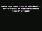 Read Ancient Egypt: Treasures from the Collection of the Oriental Institute (The Oriental Institute