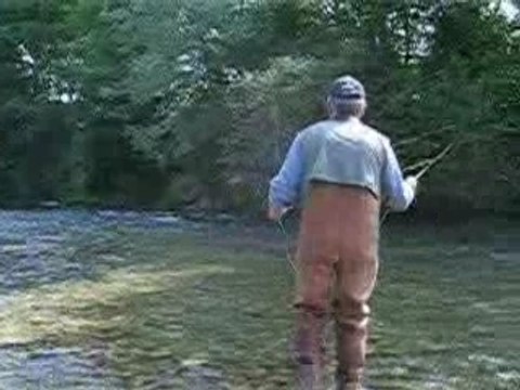 Le nokill. de Miribel les Echelles