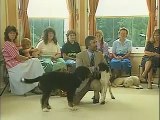 Explaining Recall - Training the Companion Dog 1  Socialization & Training