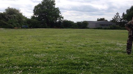 Le chien de la brigade cynophile s'entraîne