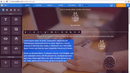 28_-_How_To_Put_Your_Content_Into_Your_Landing_Page