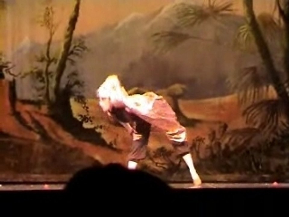 Comedie musicale du Roi lion - The Lion King