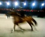 act brittish police horses Jumping Amsterdam 23-01-2009