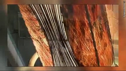 Institut de beauté Florymer à Belfort