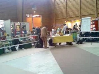 VIRGIL-Chihuahua expo Bulle 01.07.07