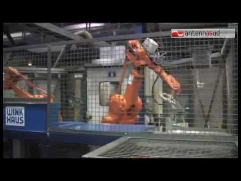 Tg Antenna Sud - Pensionati in piazza a Roma per difendere le pensioni