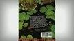 Free Full PDF Downlaod  Medicinal Plants in Folk Tradition Full EBook