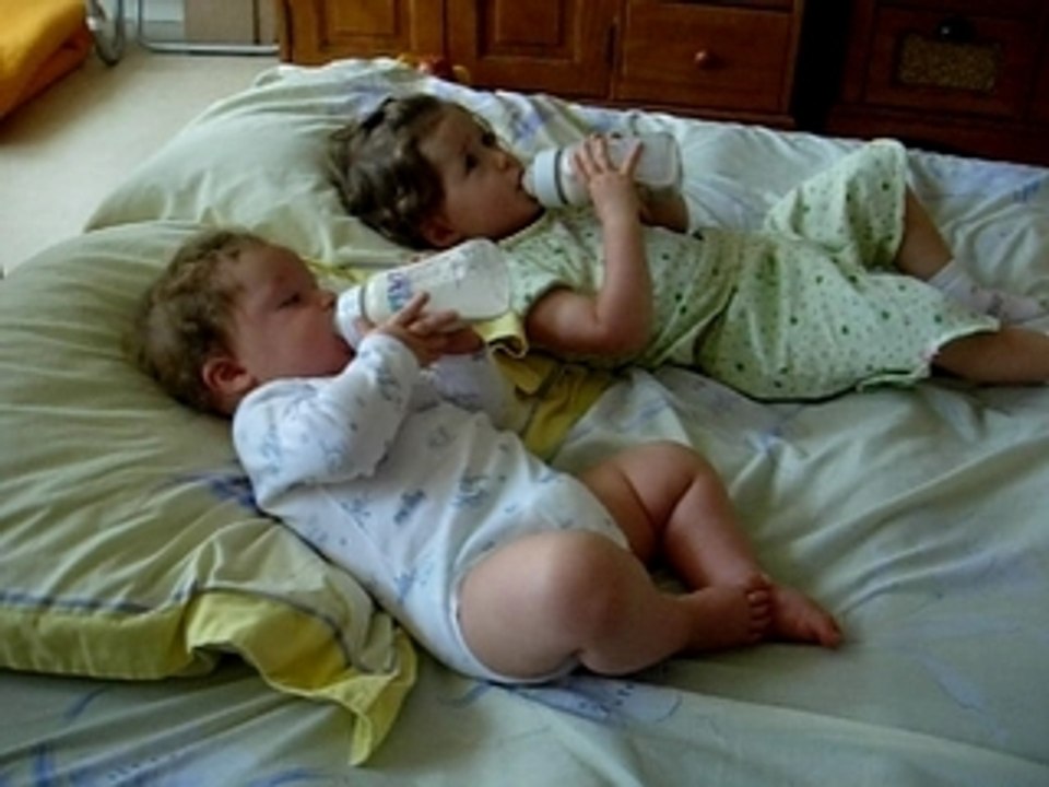 Les loulous prennent leur petit dej