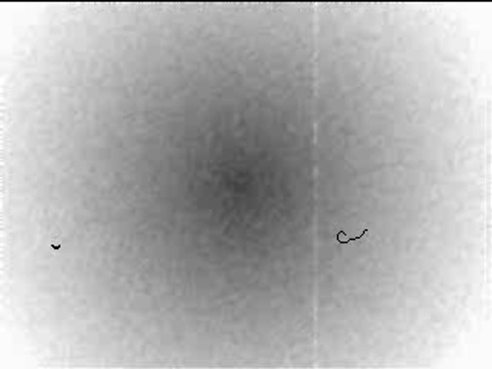 Hadith Al Islam, Al Iman wa Al Ihsan