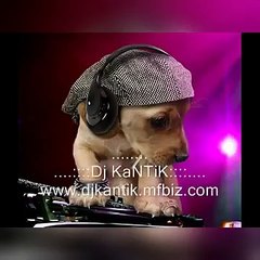 Dj Kantik. Club love bubbling hard