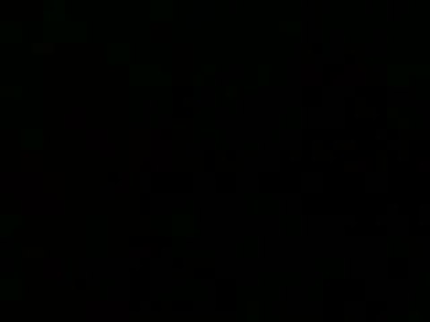 chris benoit tribune 1967-2007