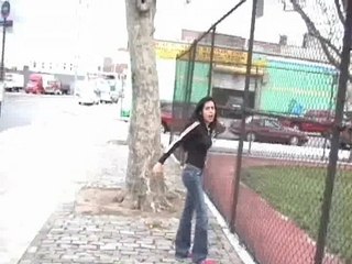 Zig Zag - Climbing Fences