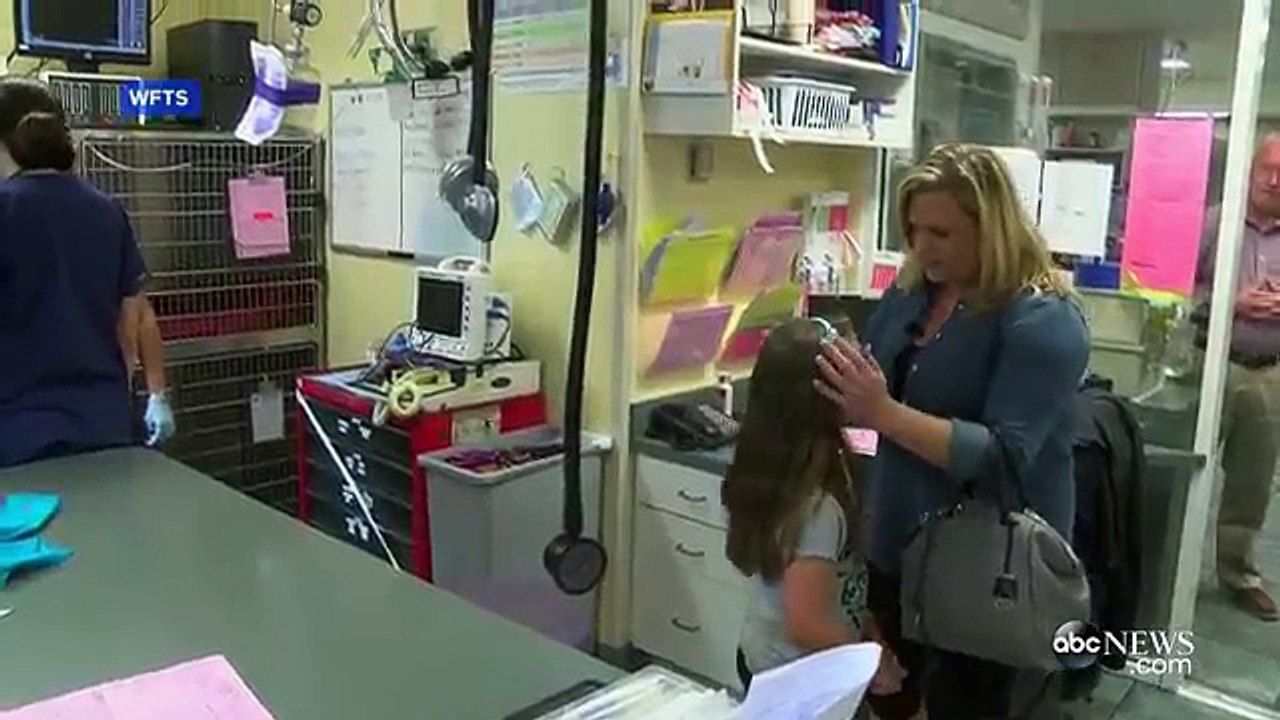 Ce berger allemand sauve la fille d'une fillette de 2 ans