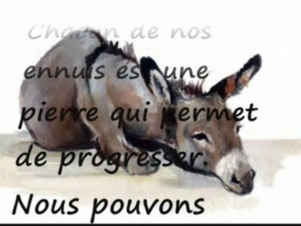 La vie