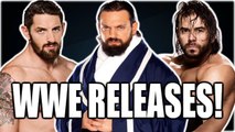 WWE - 8 Superstars Released! (Damien Sandow, Wade Barrett, More!)