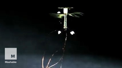 New robot bee may soon be a spy's secret weapon