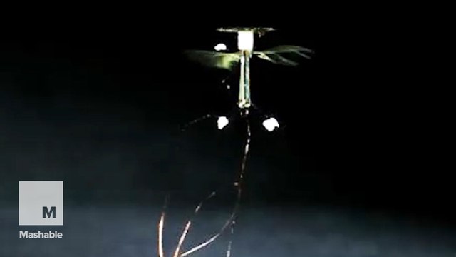 New robot bee may soon be a spy's secret weapon