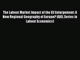 Read The Labour Market Impact of the EU Enlargement: A New Regional Geography of Europe? (AIEL