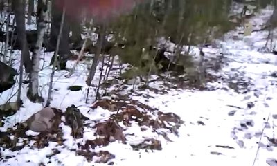 Ruger Mark 1 .22 semi-auto pistol