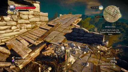 WITCHER 3 DEATH MARCH! WALKTHROUGH 308 - WITHOUT A TRACE