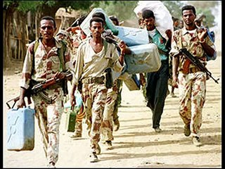 Eritrea song 20 sene