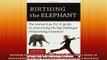 READ FREE Ebooks  Birthing the Elephant The Womans GoForIt Guide to Overcoming the Big Challenges of Full EBook