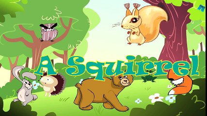 Compilation of Developing Cartoons - Funny Animals ALL EPISODES - Smarty Pants