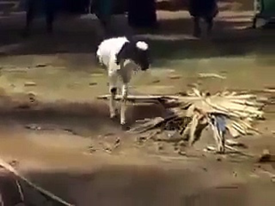 SubhanAllah.Allah Ki Qudrat