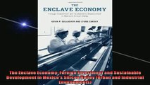 FREE DOWNLOAD  The Enclave Economy Foreign Investment and Sustainable Development in Mexicos Silicon  DOWNLOAD ONLINE