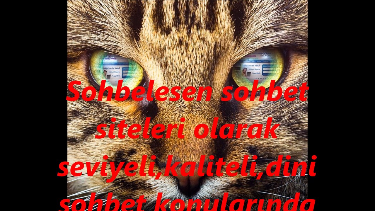 sohbetlesen