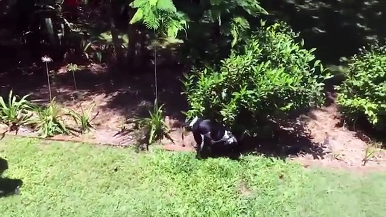 TRY NOT TO LAUGH